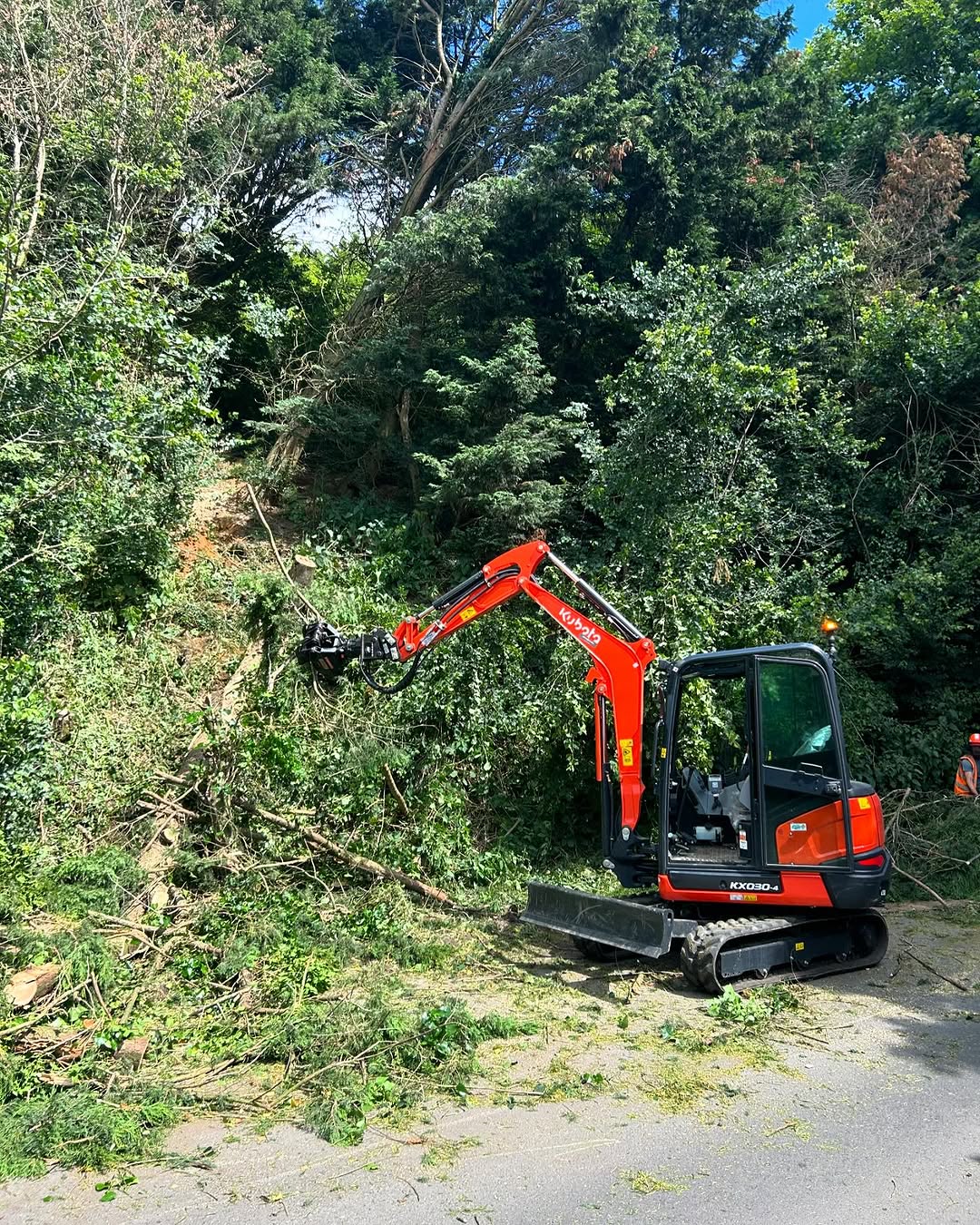 Storm damage tree clearance in Oxted