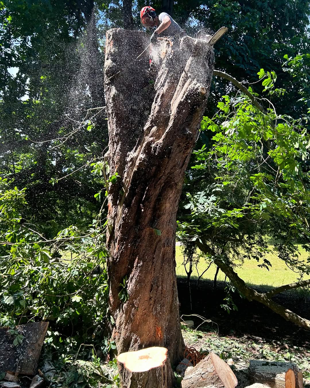 Commercial Site & Land Clearance specialists in Guildford