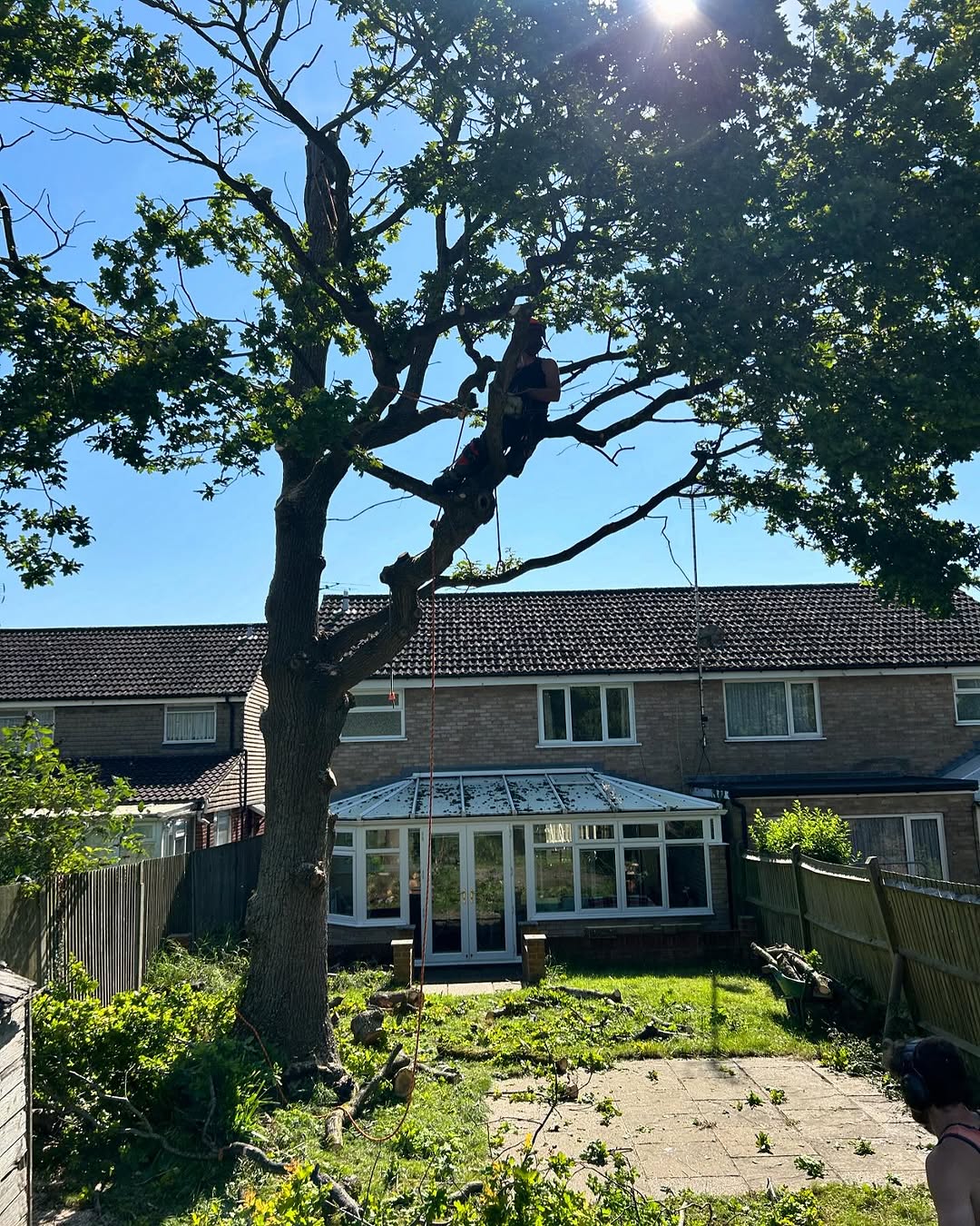 Storm damage tree clearance in East Grinstead