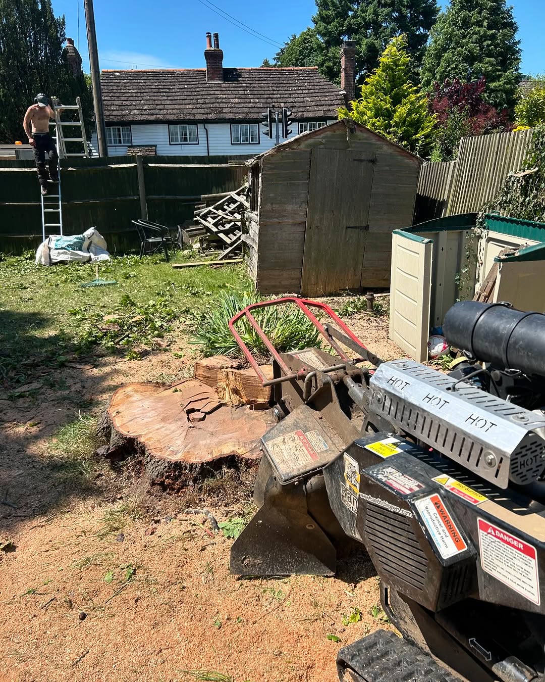 Ash Dieback (Chalara) Management specialists in Redhill