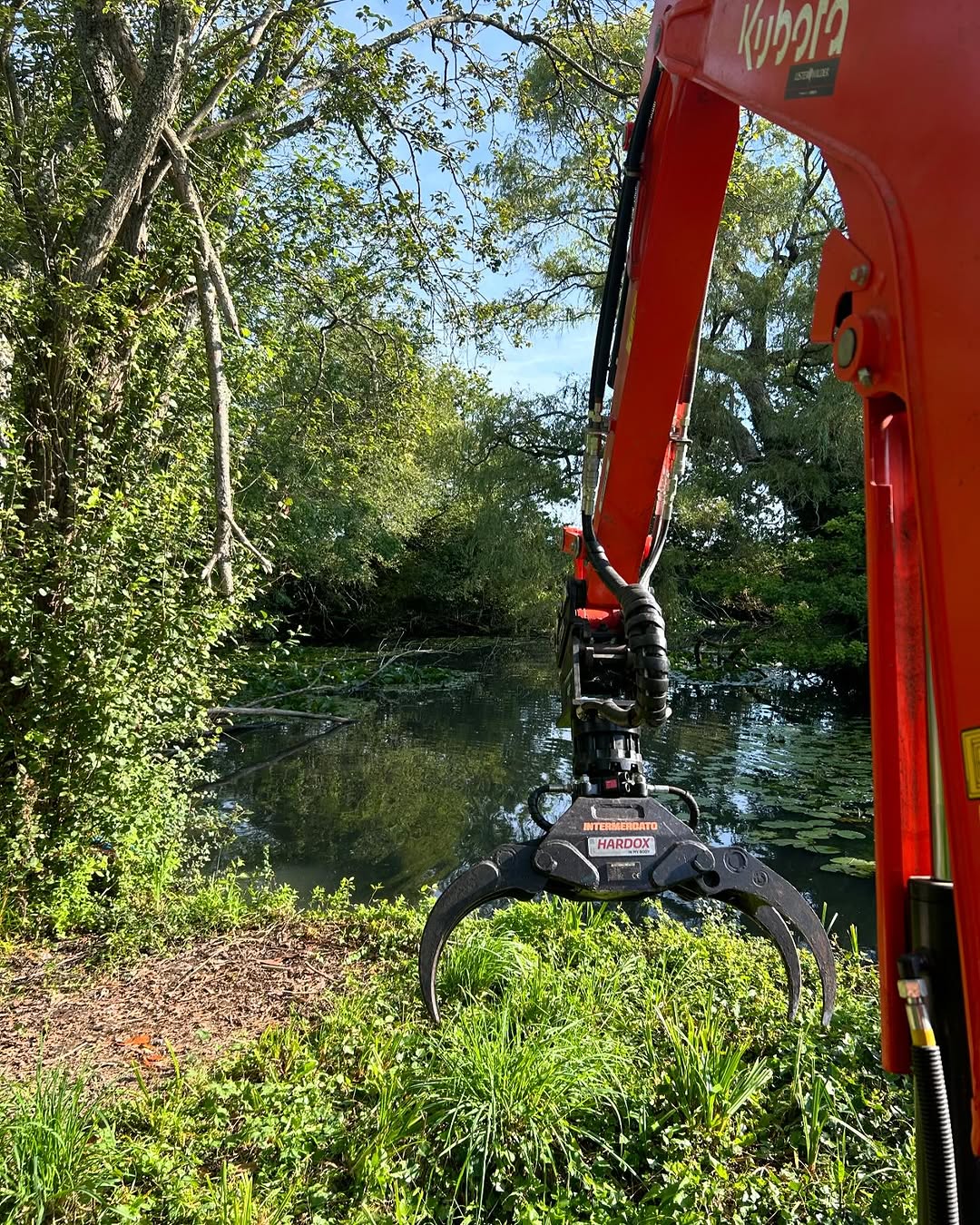 Storm damage tree clearance in Redhill