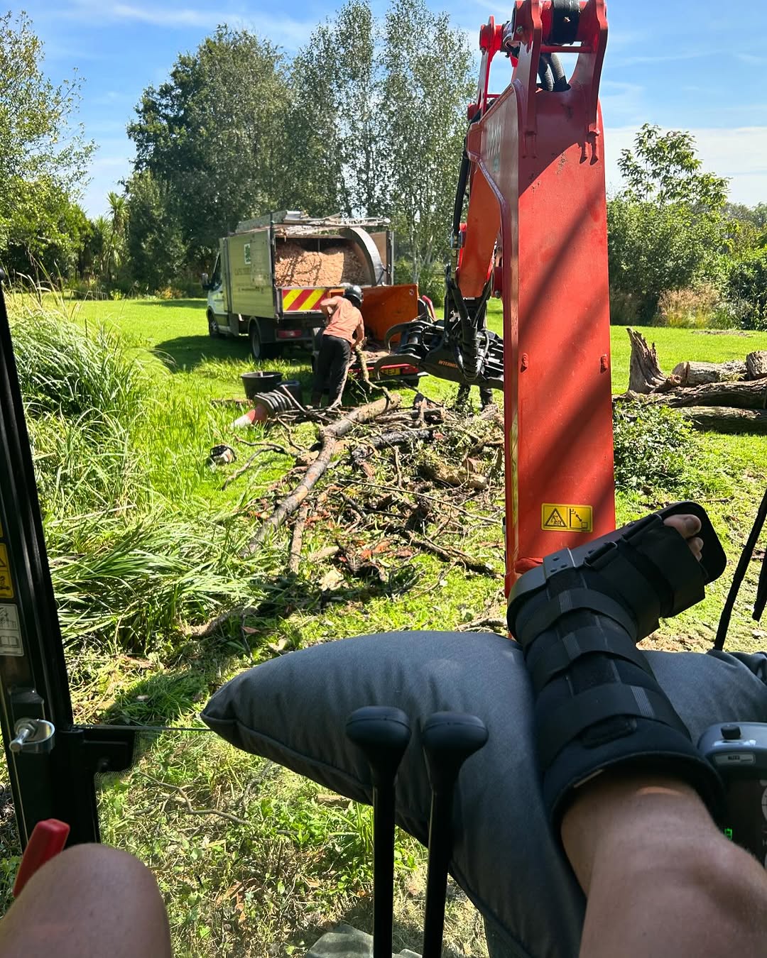 Storm damage tree clearance in Woking