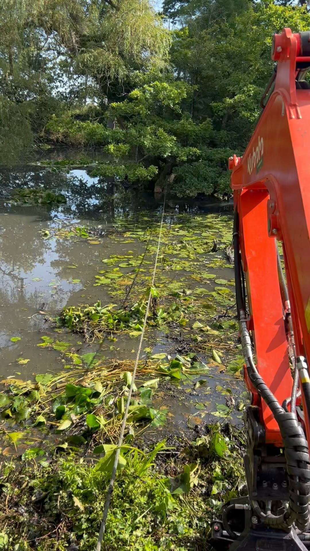 Estate Woodland Renovation specialists in Nutfield