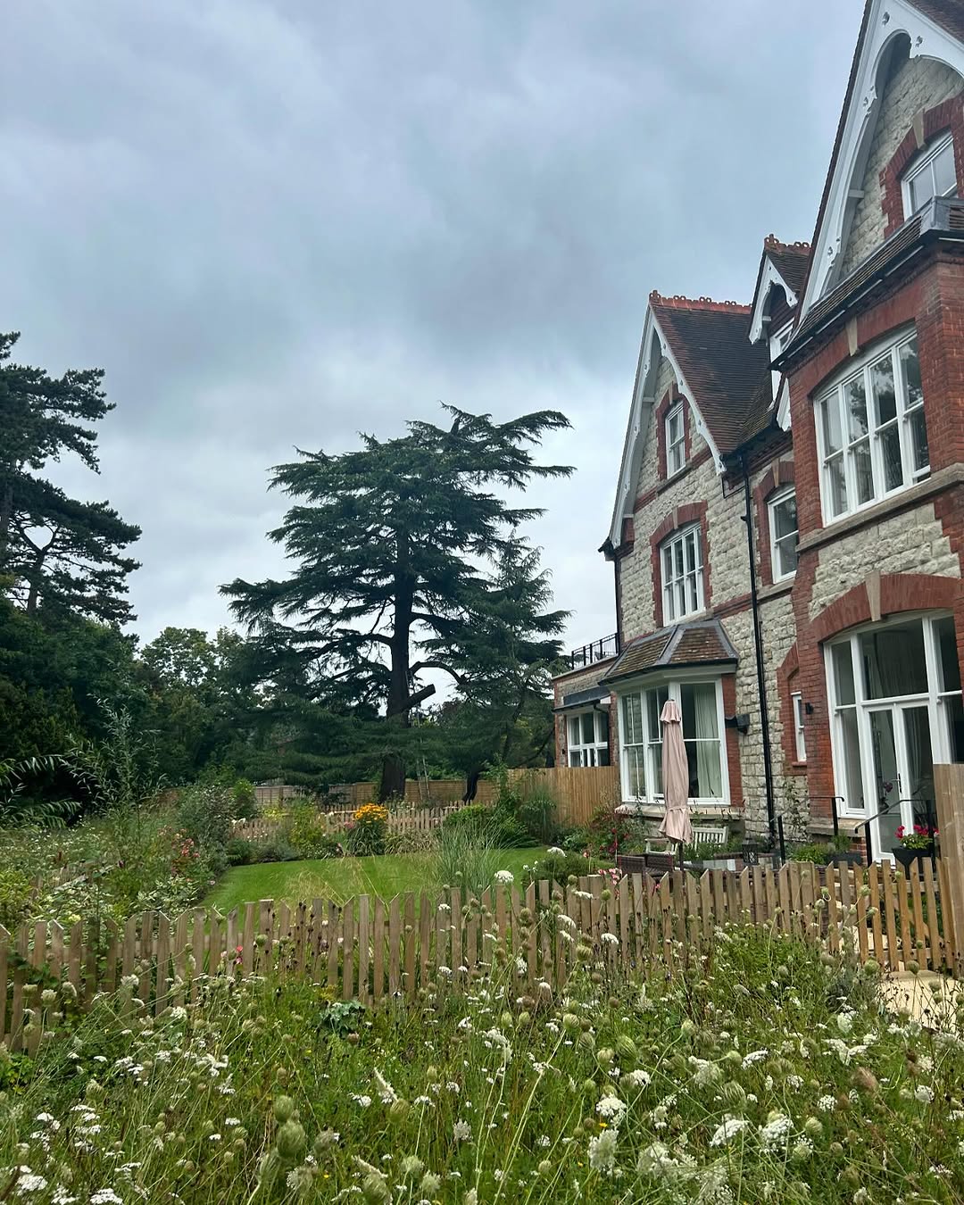 Mechanical Stump Grinding & Eradication specialists in Brighton