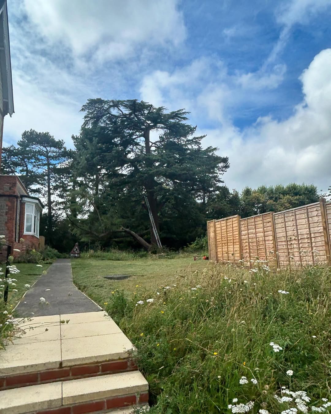 Estate Woodland Renovation specialists in Lingfield