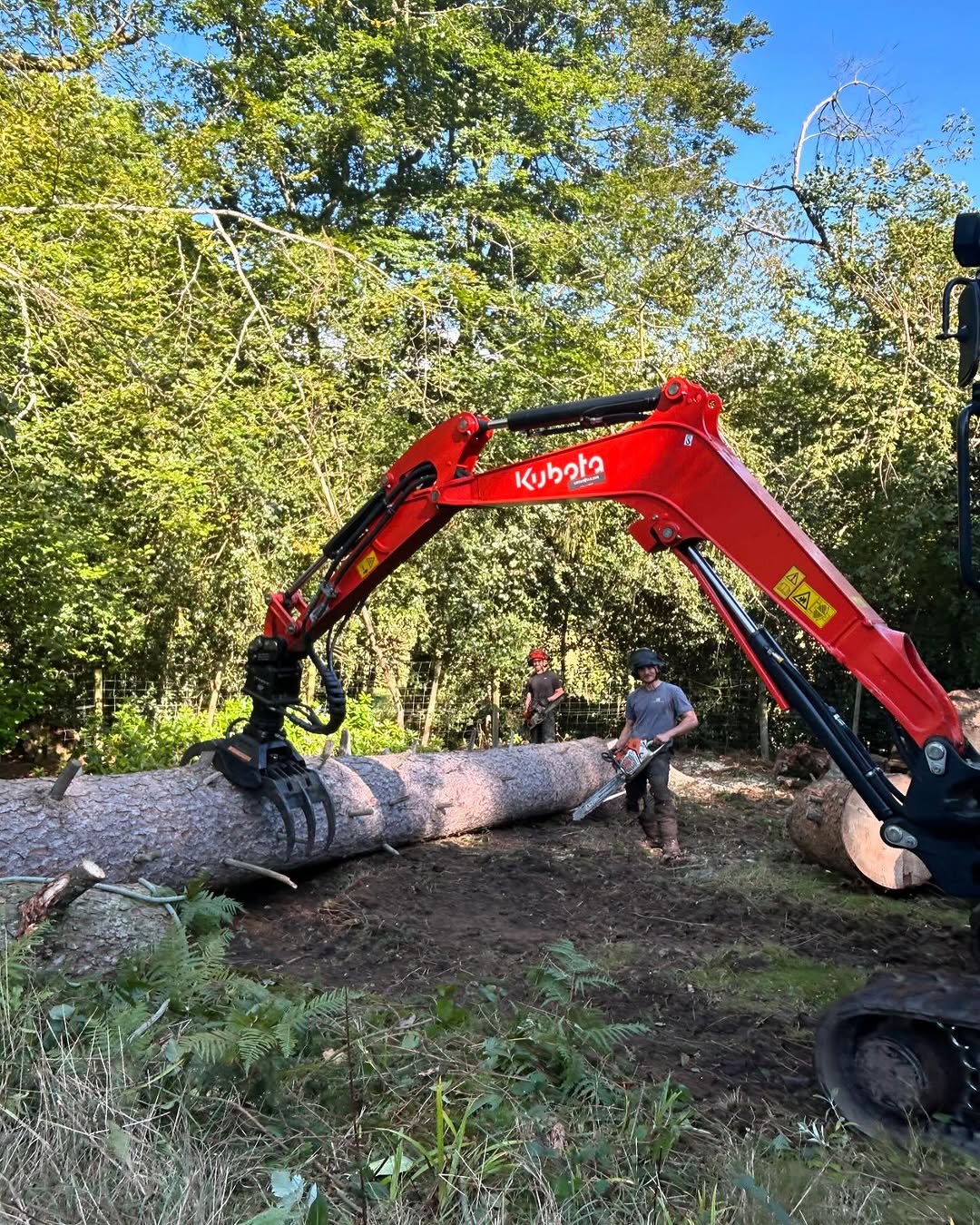 Structural Fencing & Boundary Security specialists in Nutfield