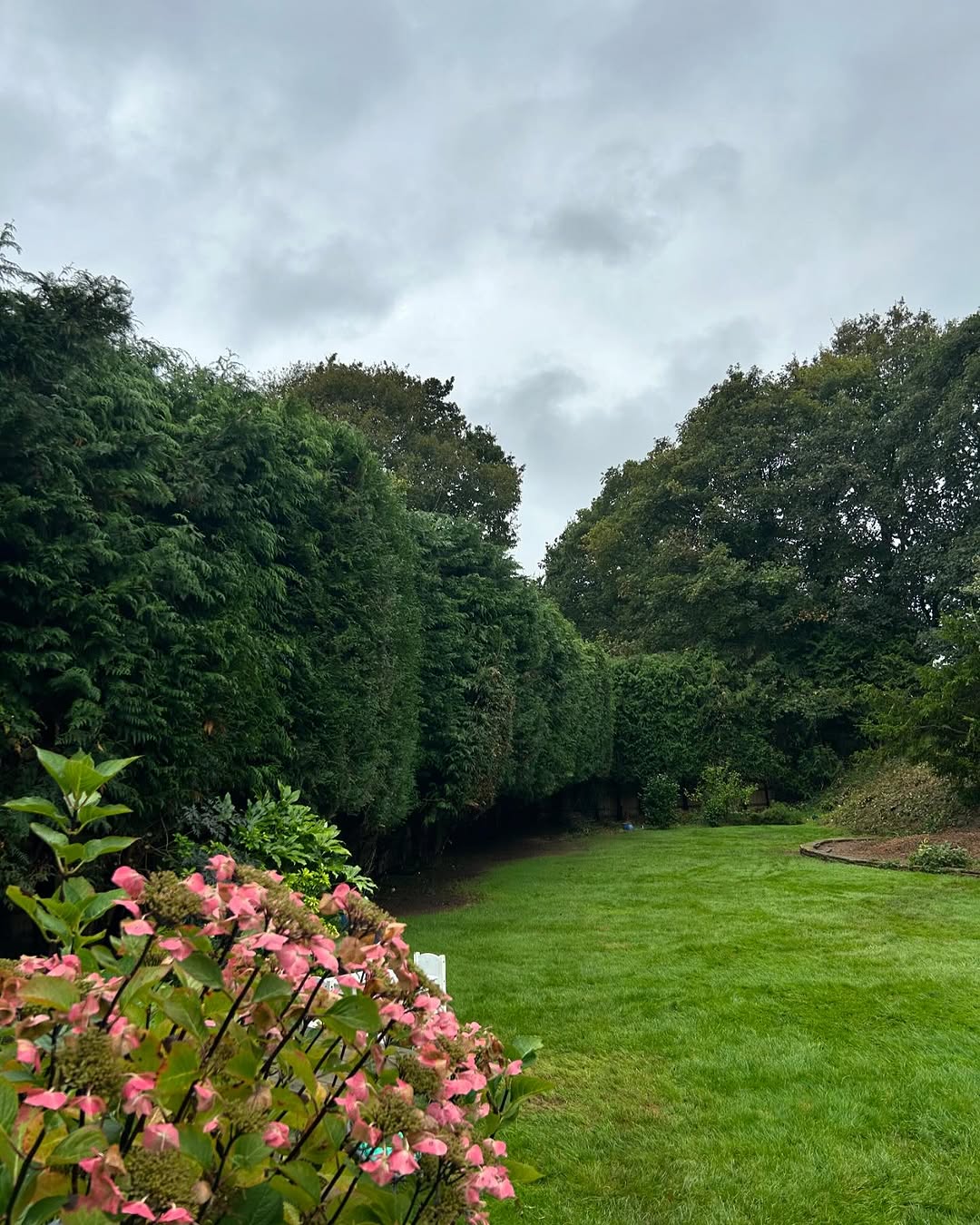 24/7 Emergency Storm Damage Response specialists in Petworth