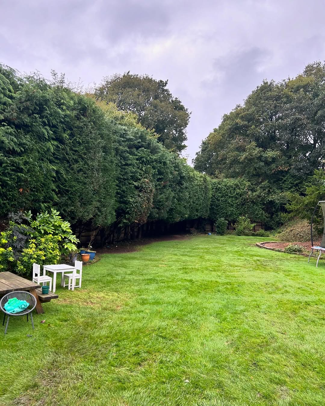 Commercial Site & Land Clearance specialists in Burgess Hill