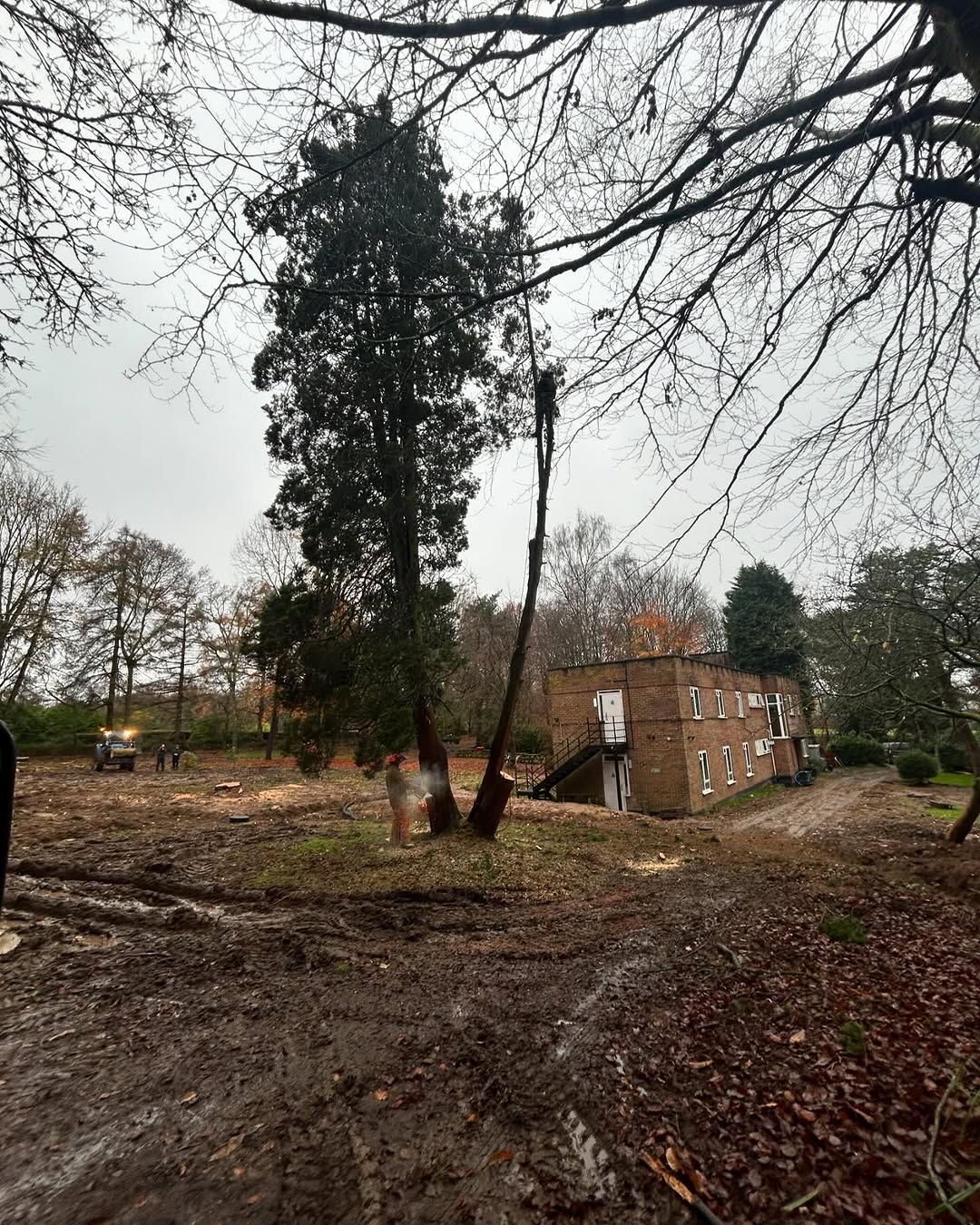 24/7 Emergency Storm Damage Response specialists in Epsom