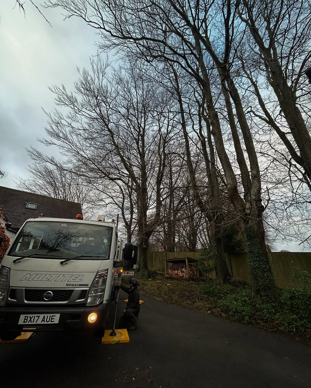 Arborist working safely in Haywards Heath