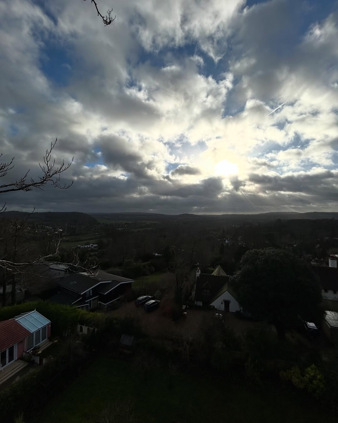 Precision Tree Felling & Dismantling specialists in East Grinstead