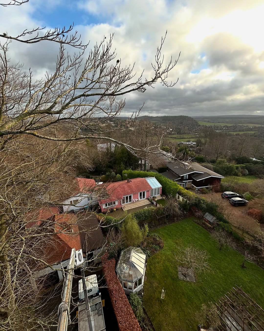 Hedge Trimming & Screening Restoration specialists in Redhill