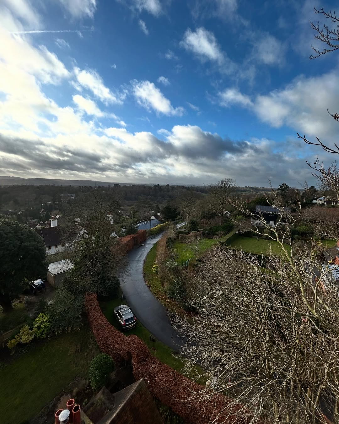 Precision Tree Felling & Dismantling specialists in Cobham