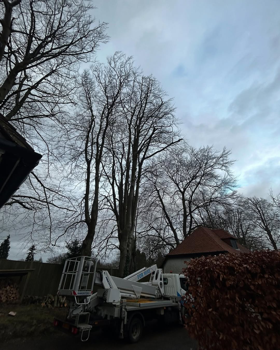 Arborist working safely in Epsom
