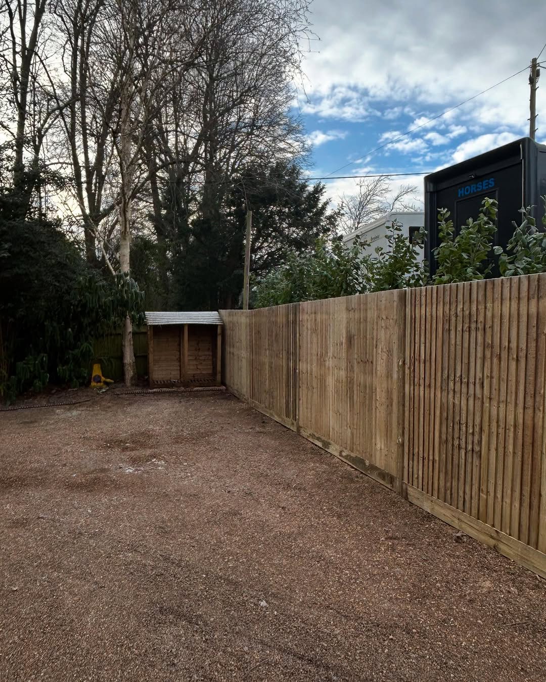 Specialist Deadwood Removal specialists in Guildford