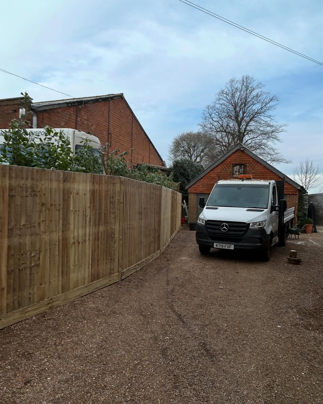 Precision Tree Felling & Dismantling specialists in Nutfield