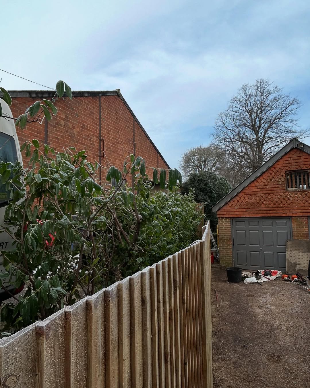 Precision Tree Felling & Dismantling specialists in Lingfield