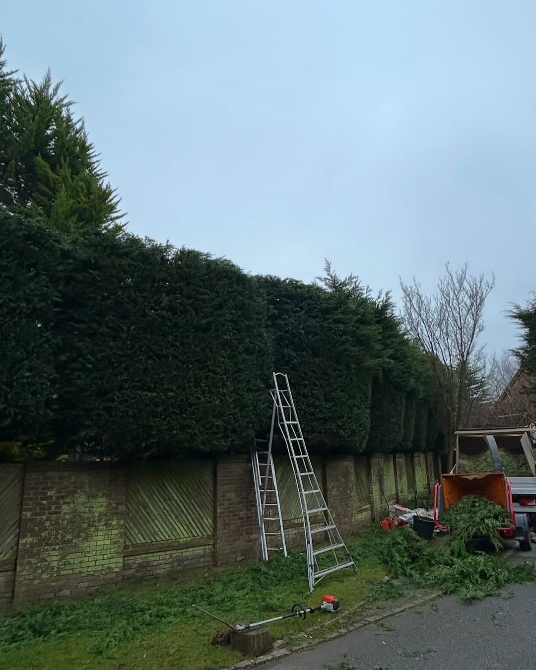 Storm damage tree clearance in Epsom
