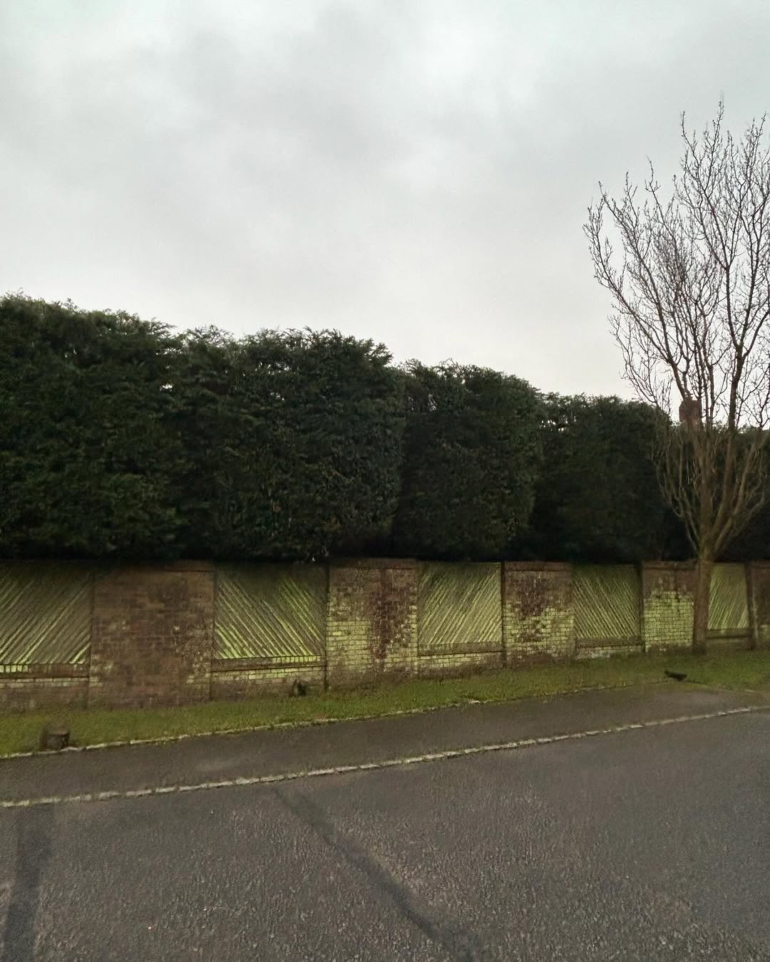 Structural Fencing & Boundary Security specialists in Brighton