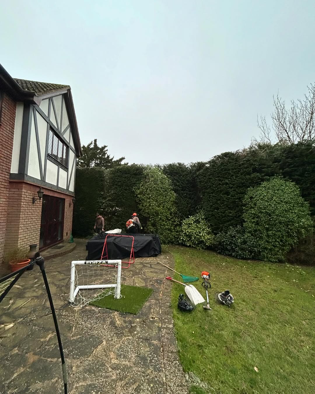 Arborist working safely in Burgess Hill