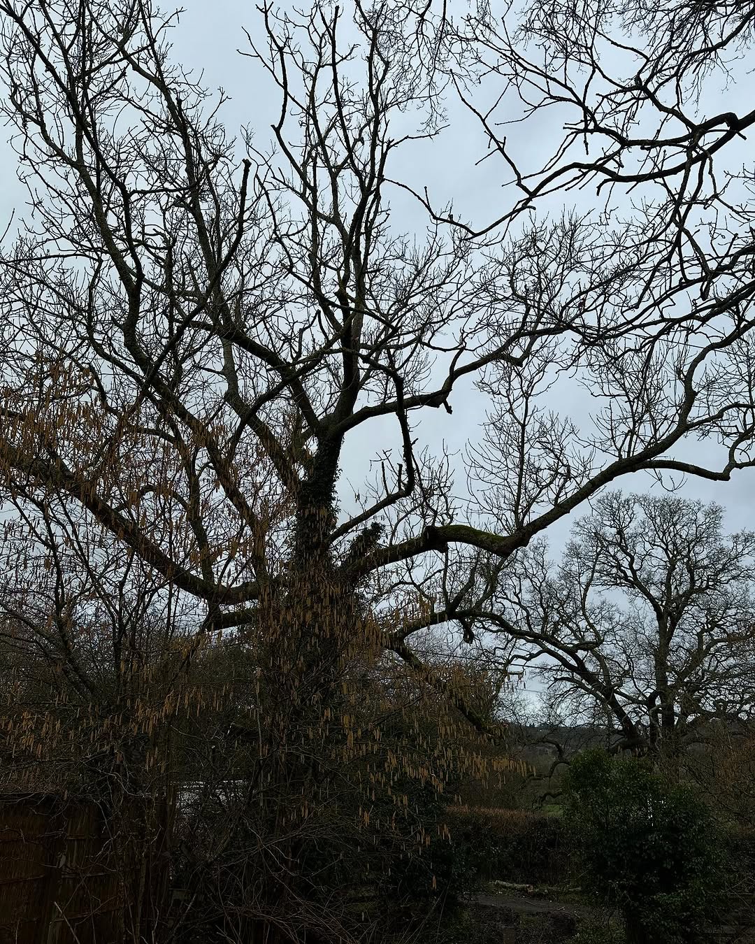 Structural Fencing & Boundary Security specialists in East Grinstead