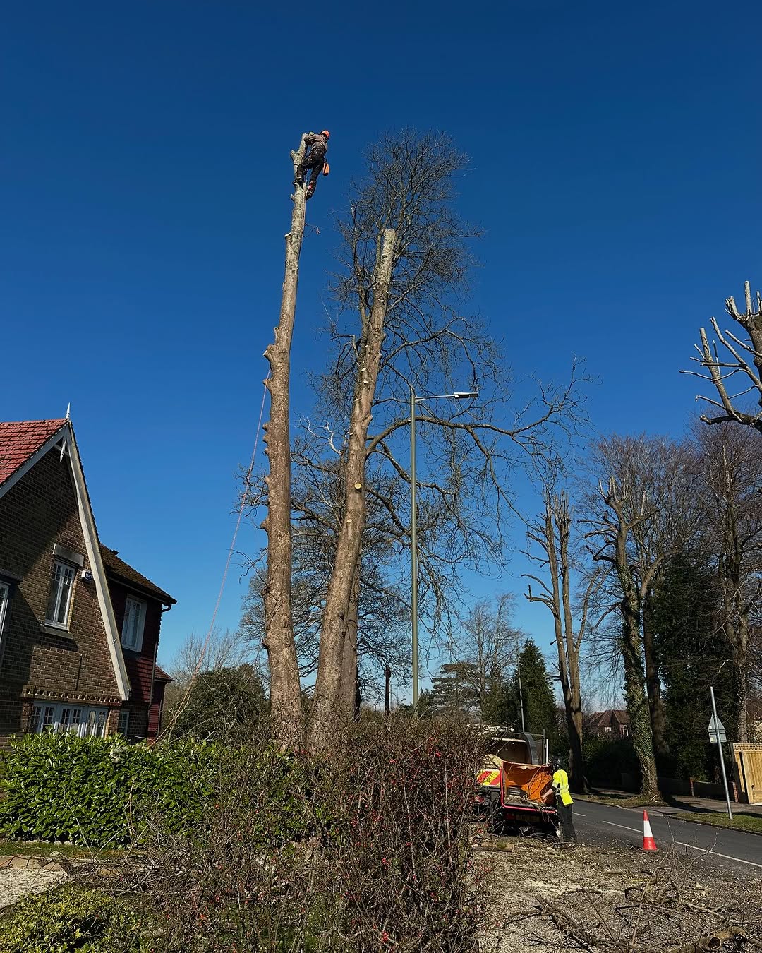 Storm damage tree clearance in Haywards Heath