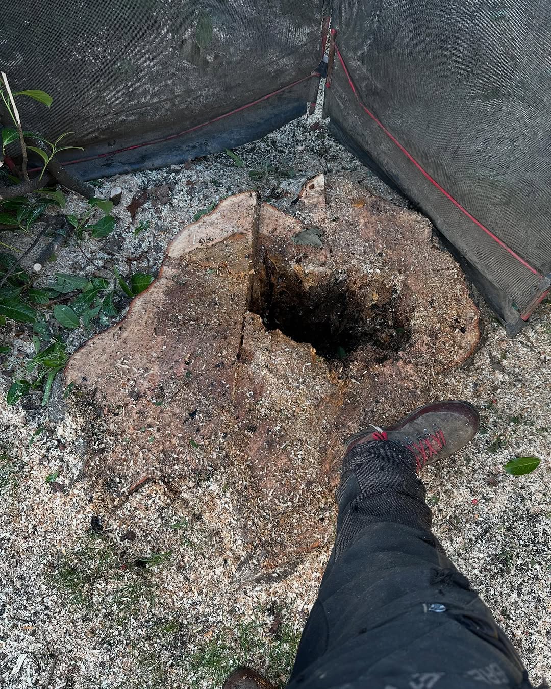 24/7 Emergency Storm Damage Response specialists in Brighton