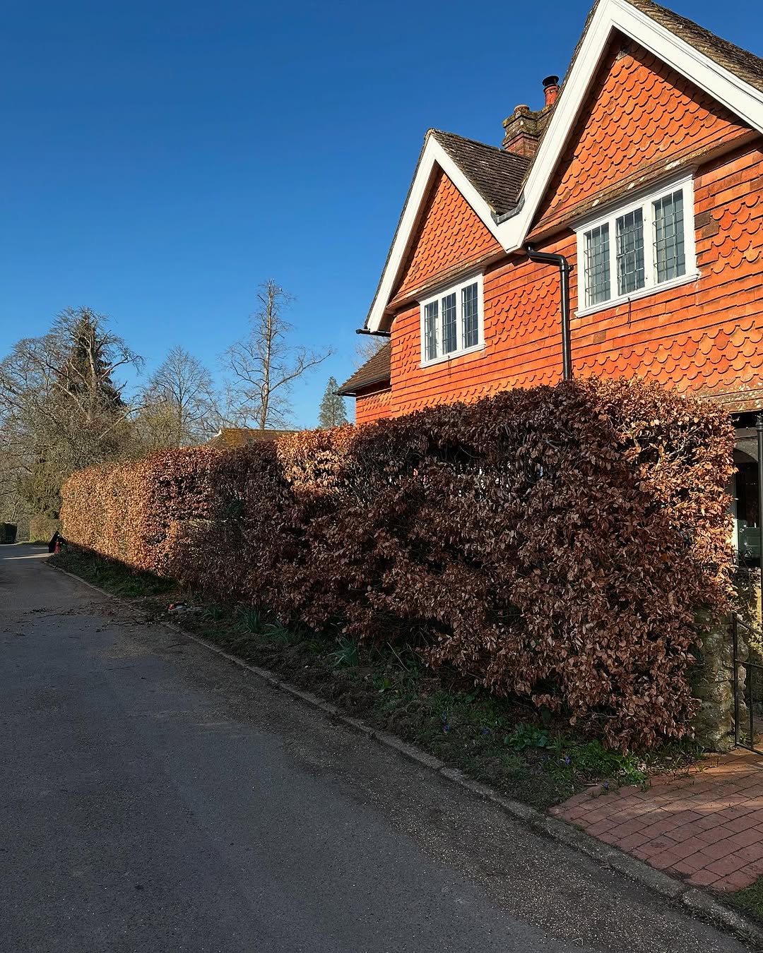 Commercial Site & Land Clearance specialists in East Grinstead