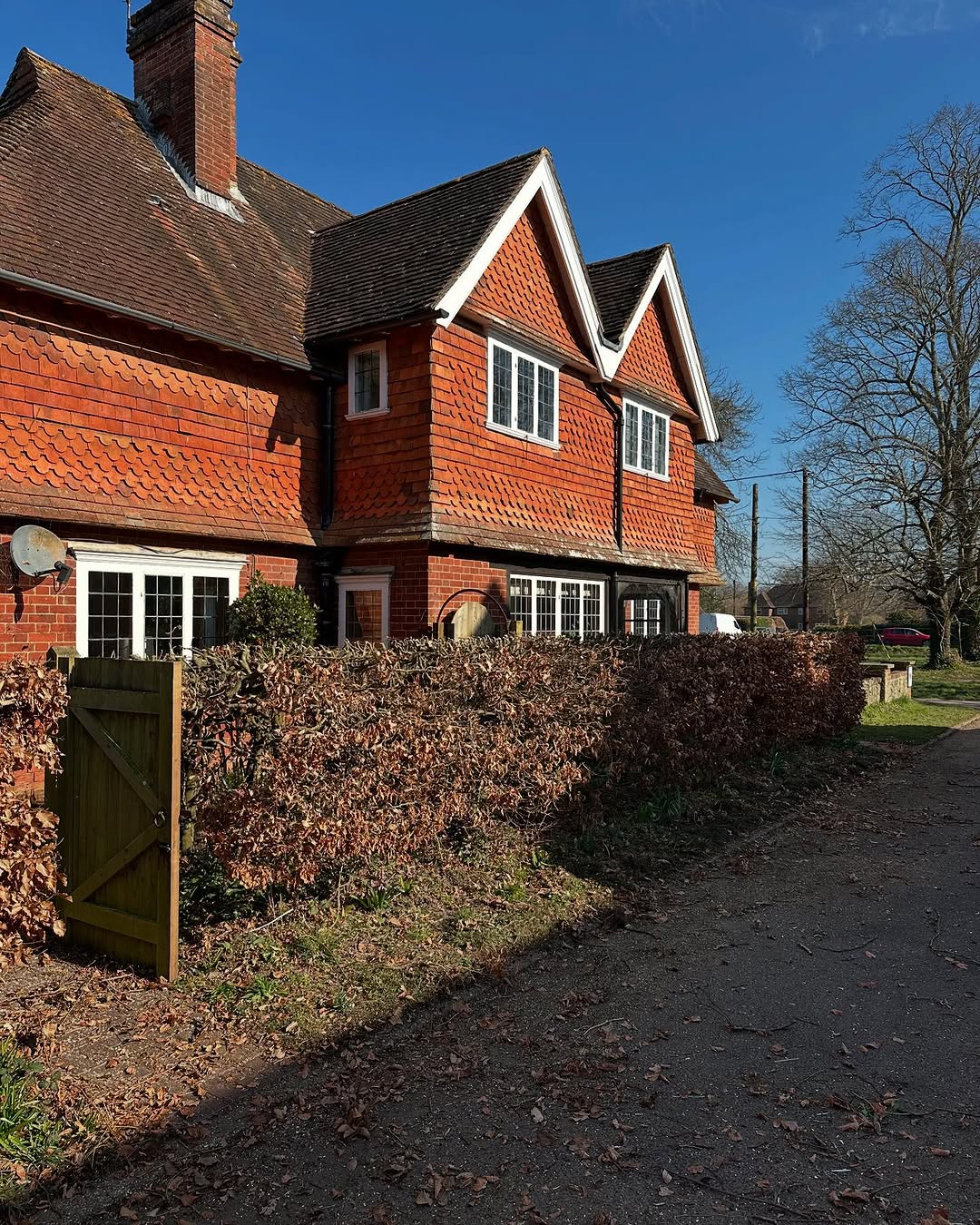 Hedge Trimming & Screening Restoration specialists in Lingfield