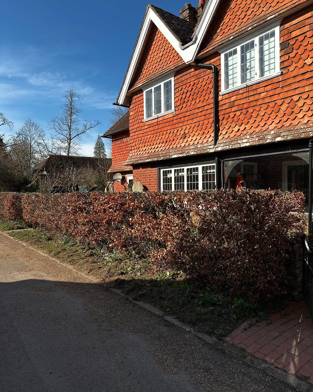 Arborist working safely in Walton On Thames