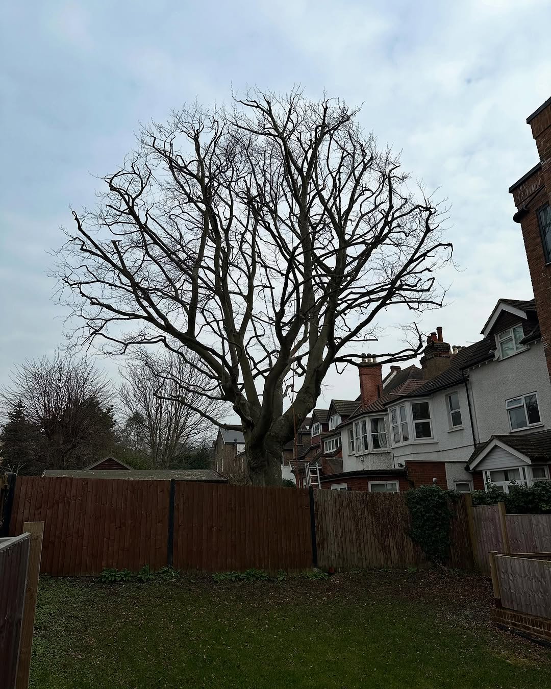 Commercial Site & Land Clearance specialists in Oxted