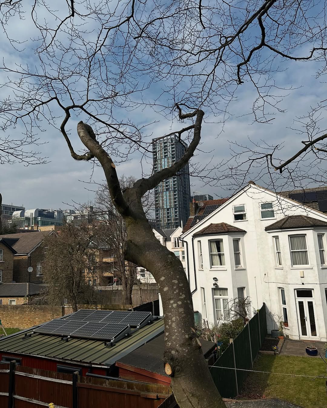 Arborist working safely in East Grinstead
