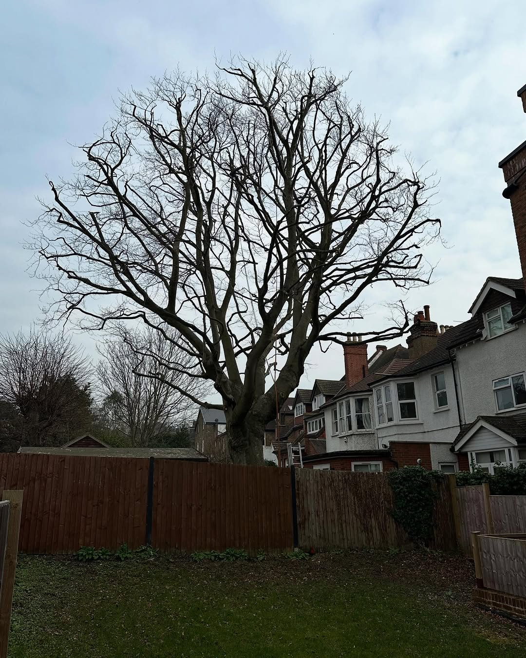 24/7 Emergency Storm Damage Response specialists in Forest Row