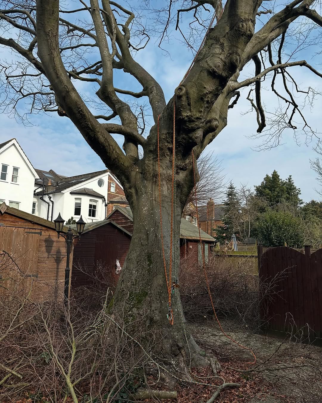 Structural Fencing & Boundary Security specialists in Redhill