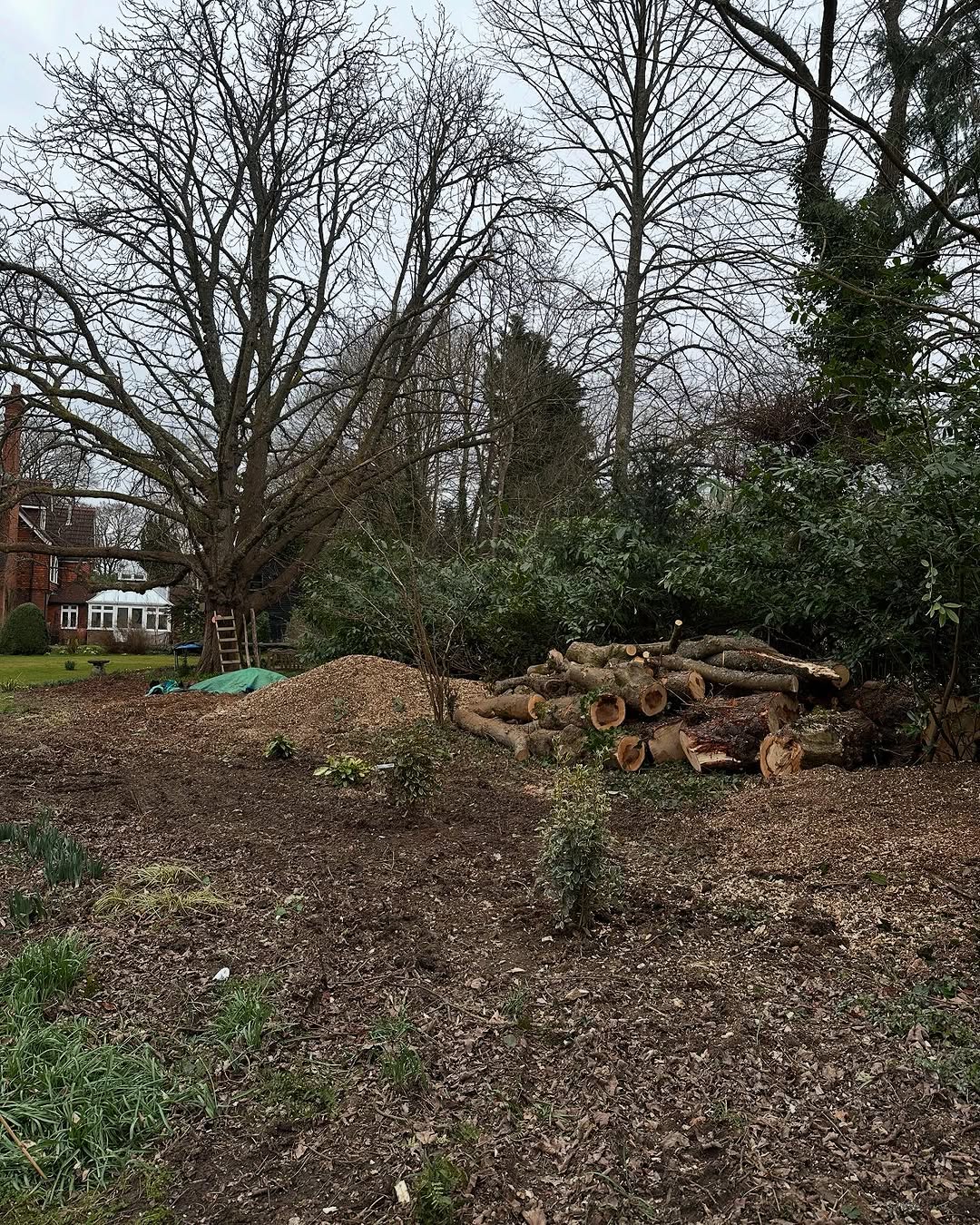 Estate Woodland Renovation specialists in Burgess Hill
