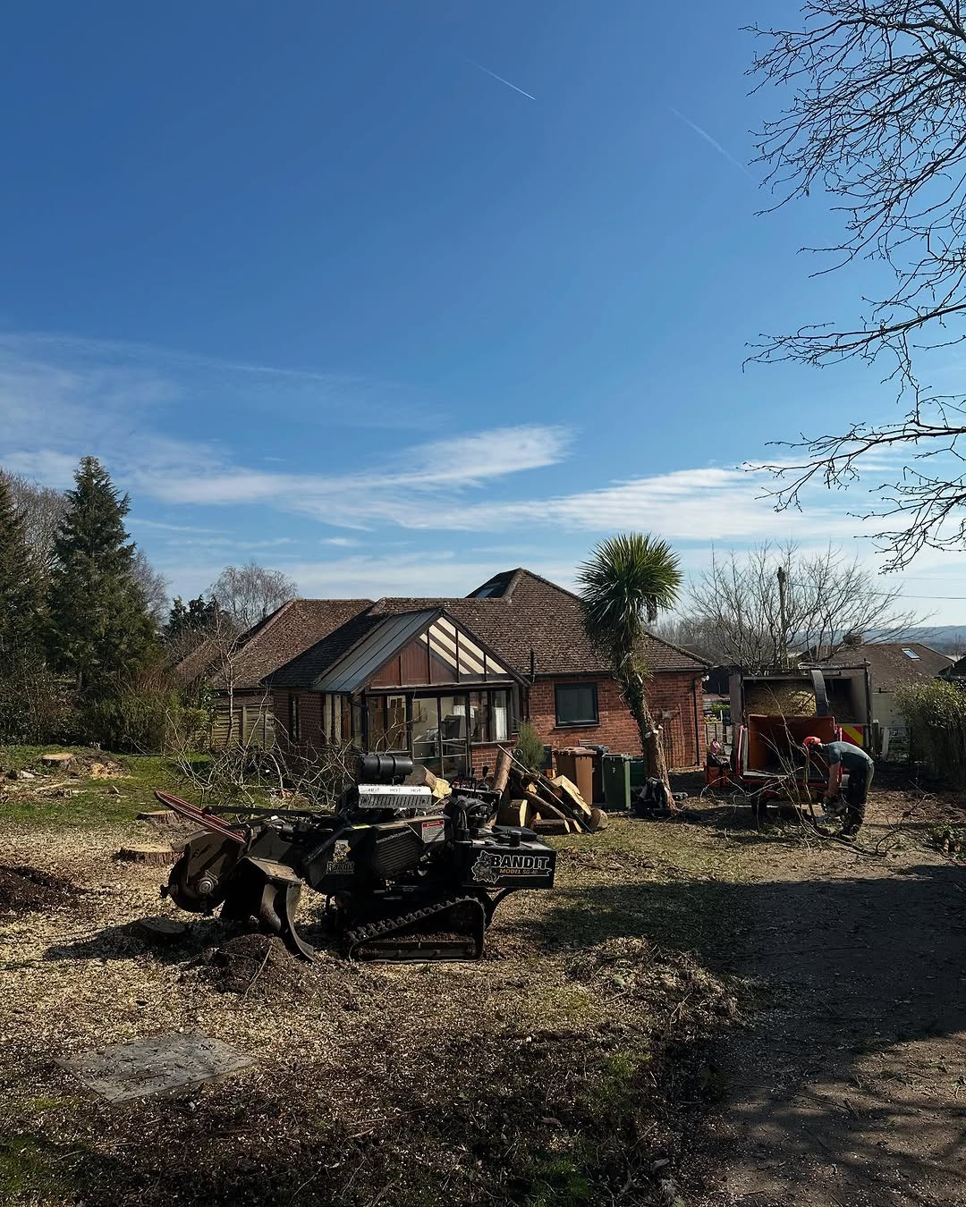 Oak Tree Conservation & TPO Support specialists in Oxted