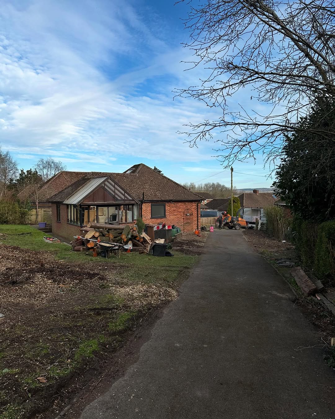 Oak Tree Conservation & TPO Support specialists in Epsom