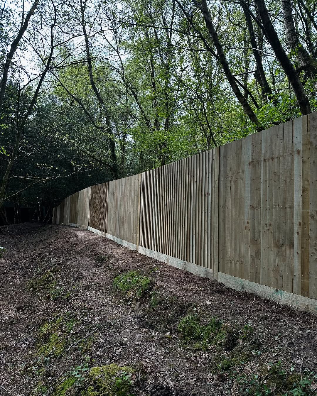 Commercial Site & Land Clearance specialists in Redhill