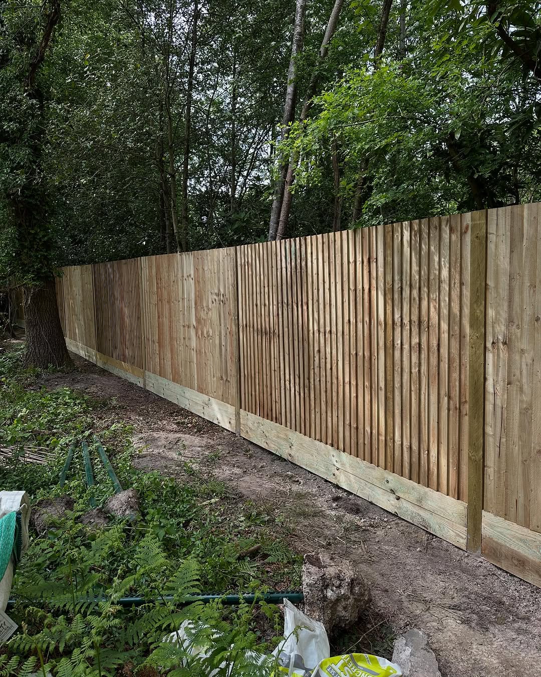 Expert Tree Pollarding specialists in Redhill