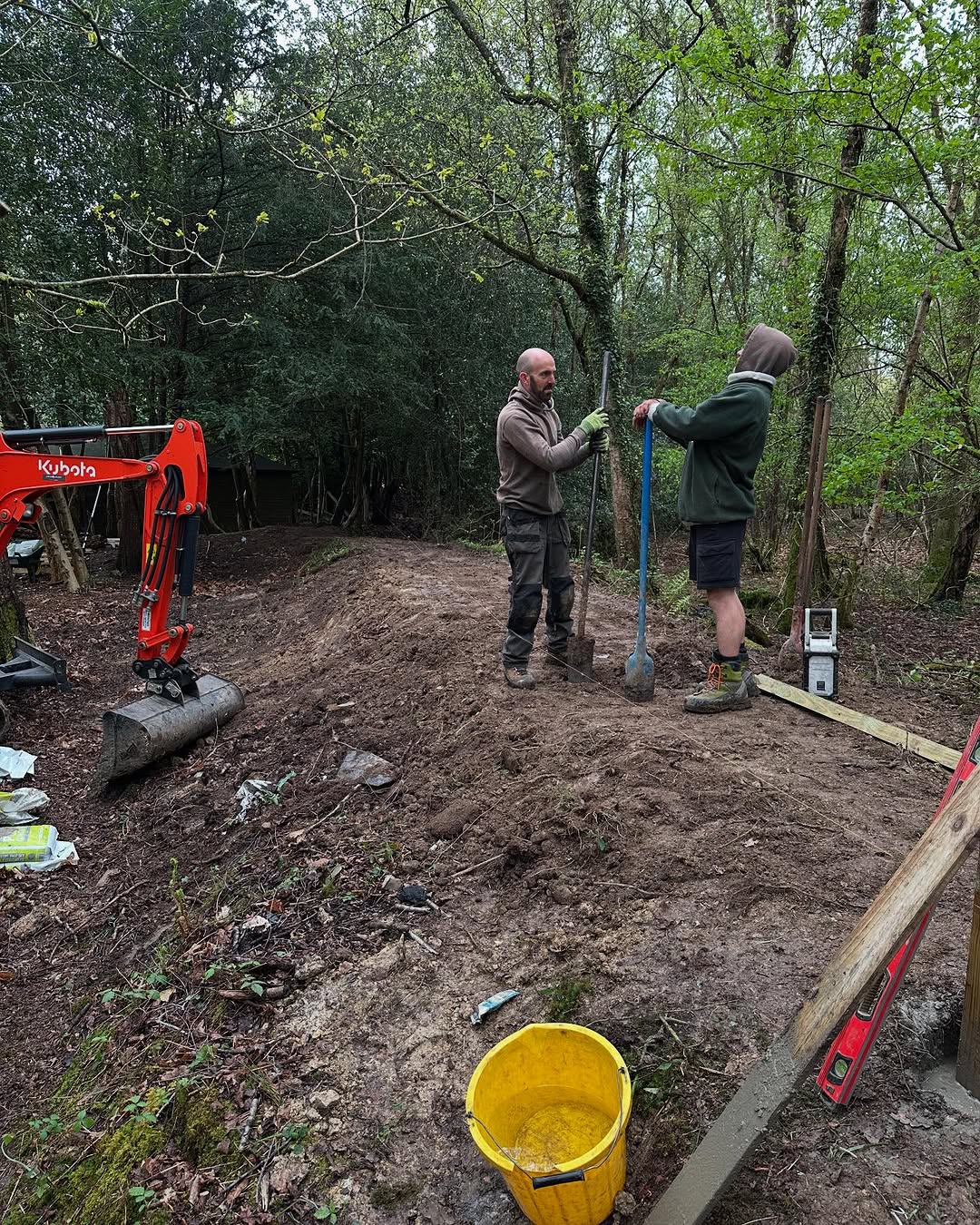 Oak Tree Conservation & TPO Support specialists in Forest Row