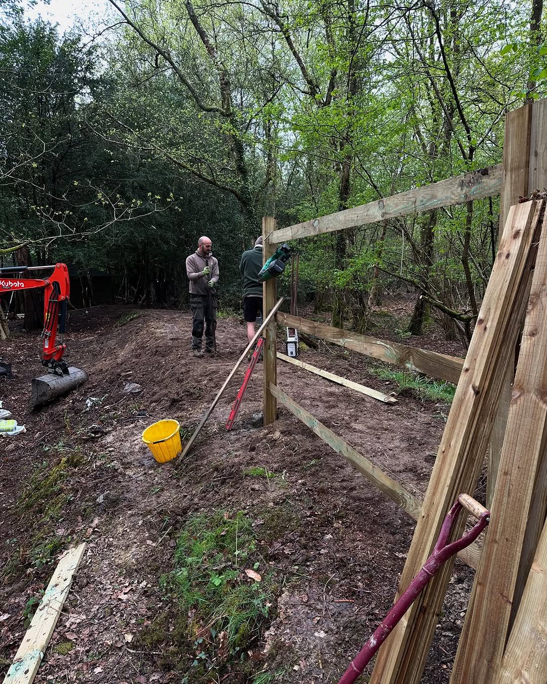 Oak Tree Conservation & TPO Support specialists in Redhill