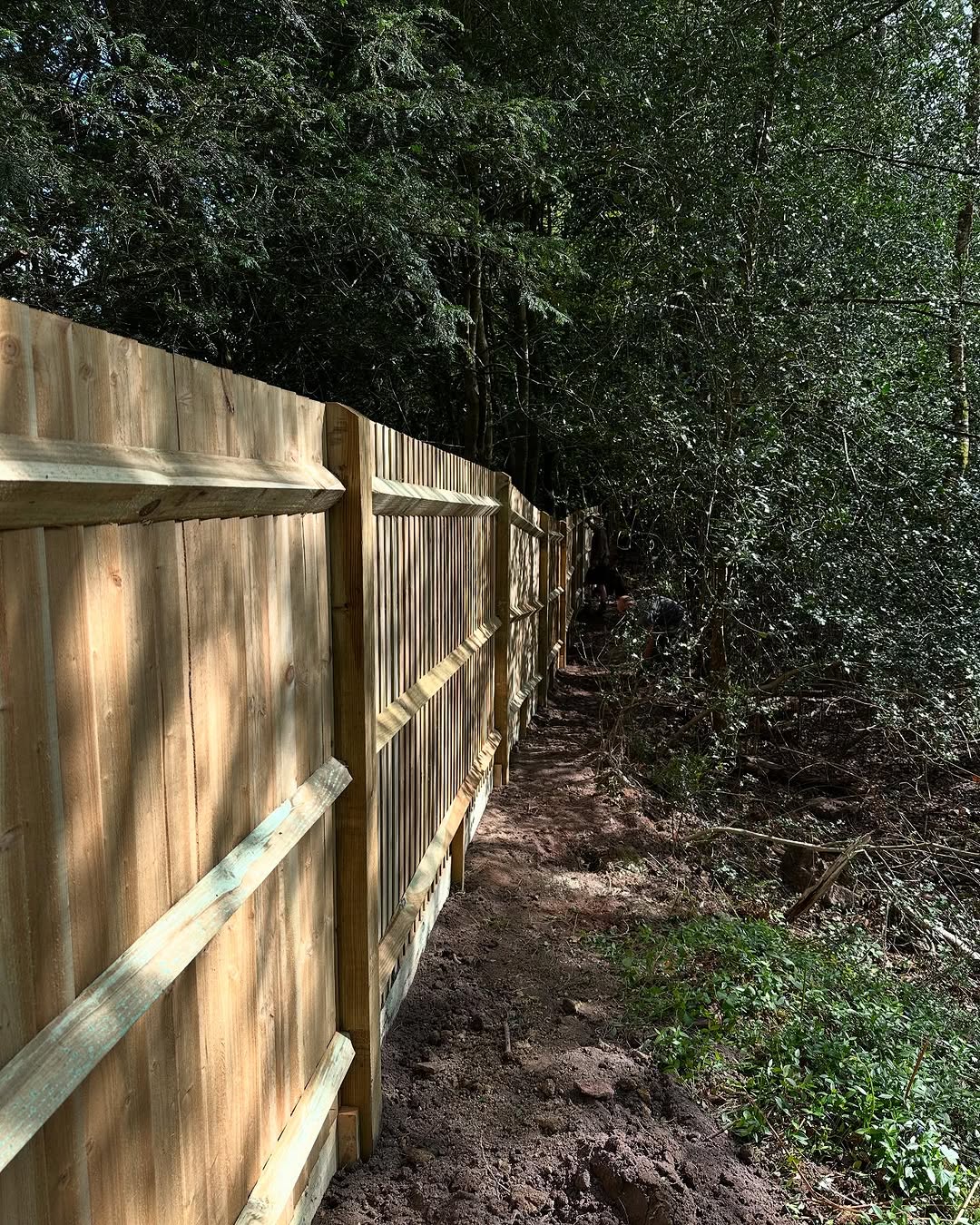 24/7 Emergency Storm Damage Response specialists in Steyning