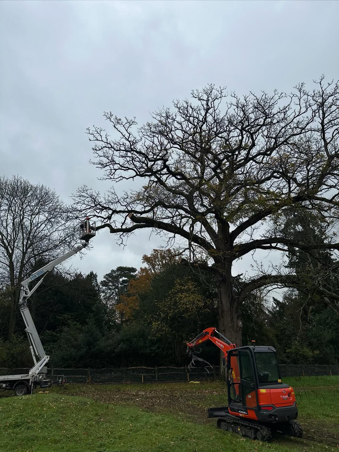 Estate Woodland Renovation specialists in Steyning