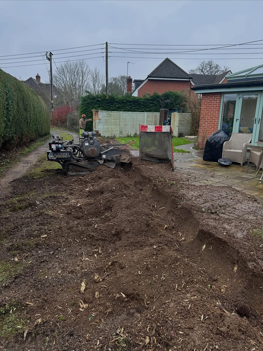 Specialist Deadwood Removal specialists in Lingfield