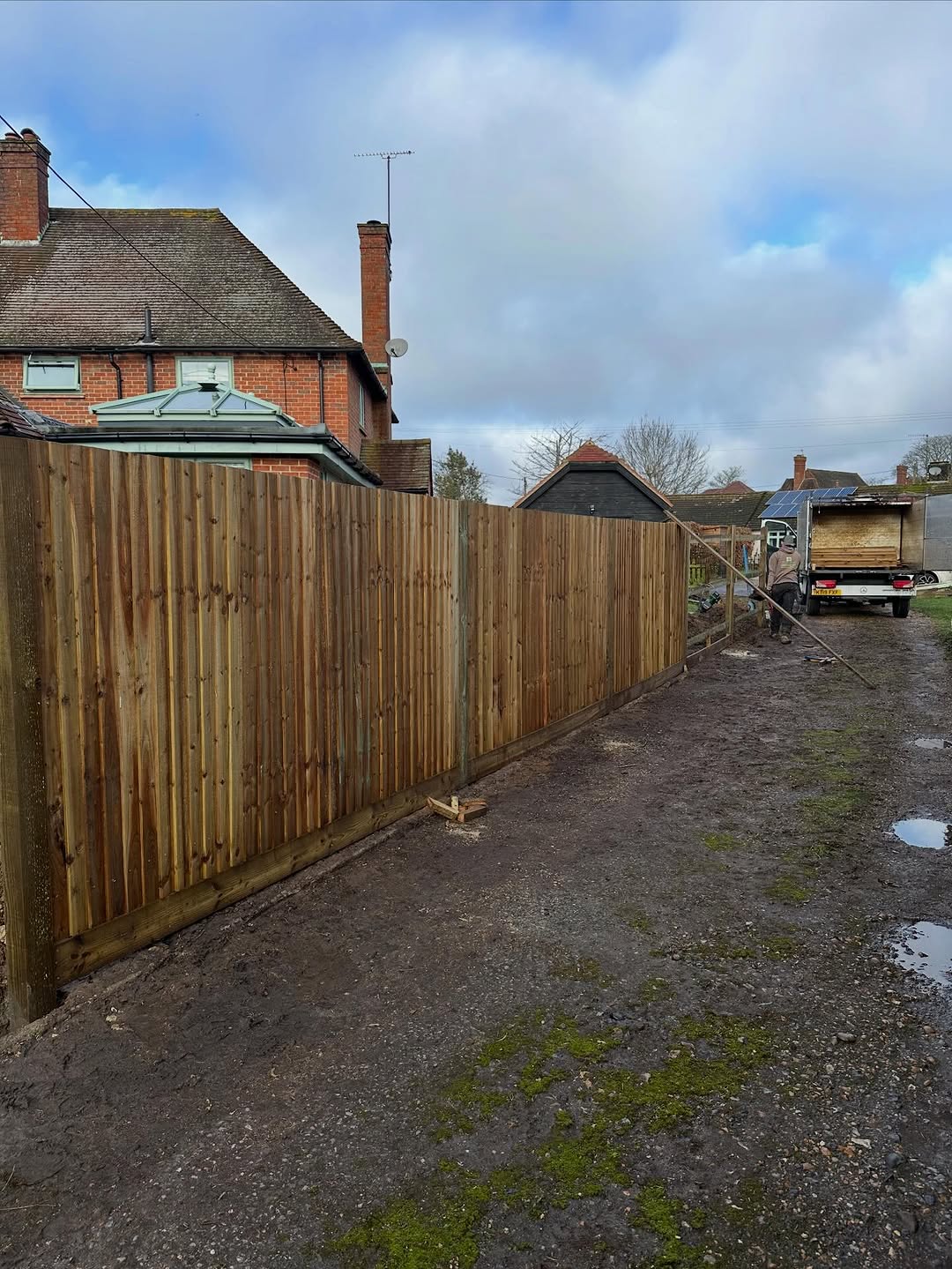 Precision Tree Felling & Dismantling specialists in Forest Row