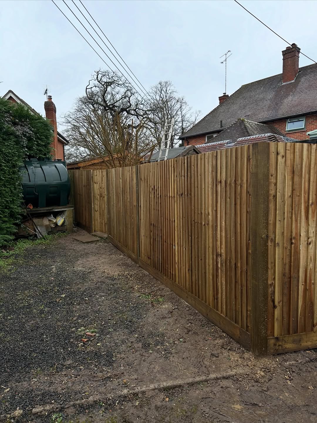 Precision Tree Felling & Dismantling specialists in Brighton