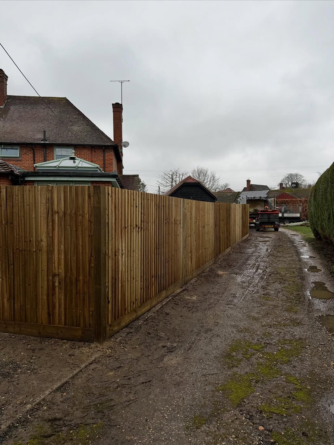 Ash Dieback (Chalara) Management specialists in Brighton