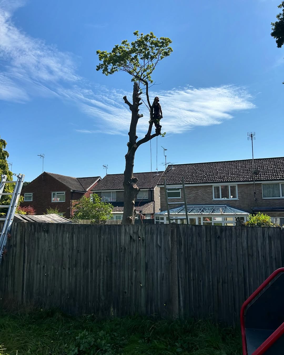 Structural Fencing & Boundary Security specialists in Epsom