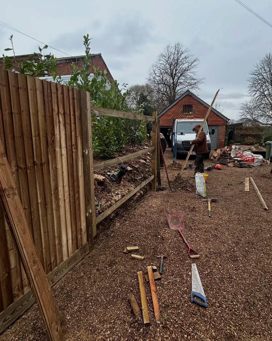 Expert Tree Pollarding specialists in Petworth