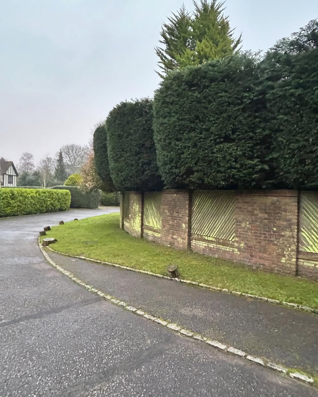 Specialist Deadwood Removal specialists in East Grinstead